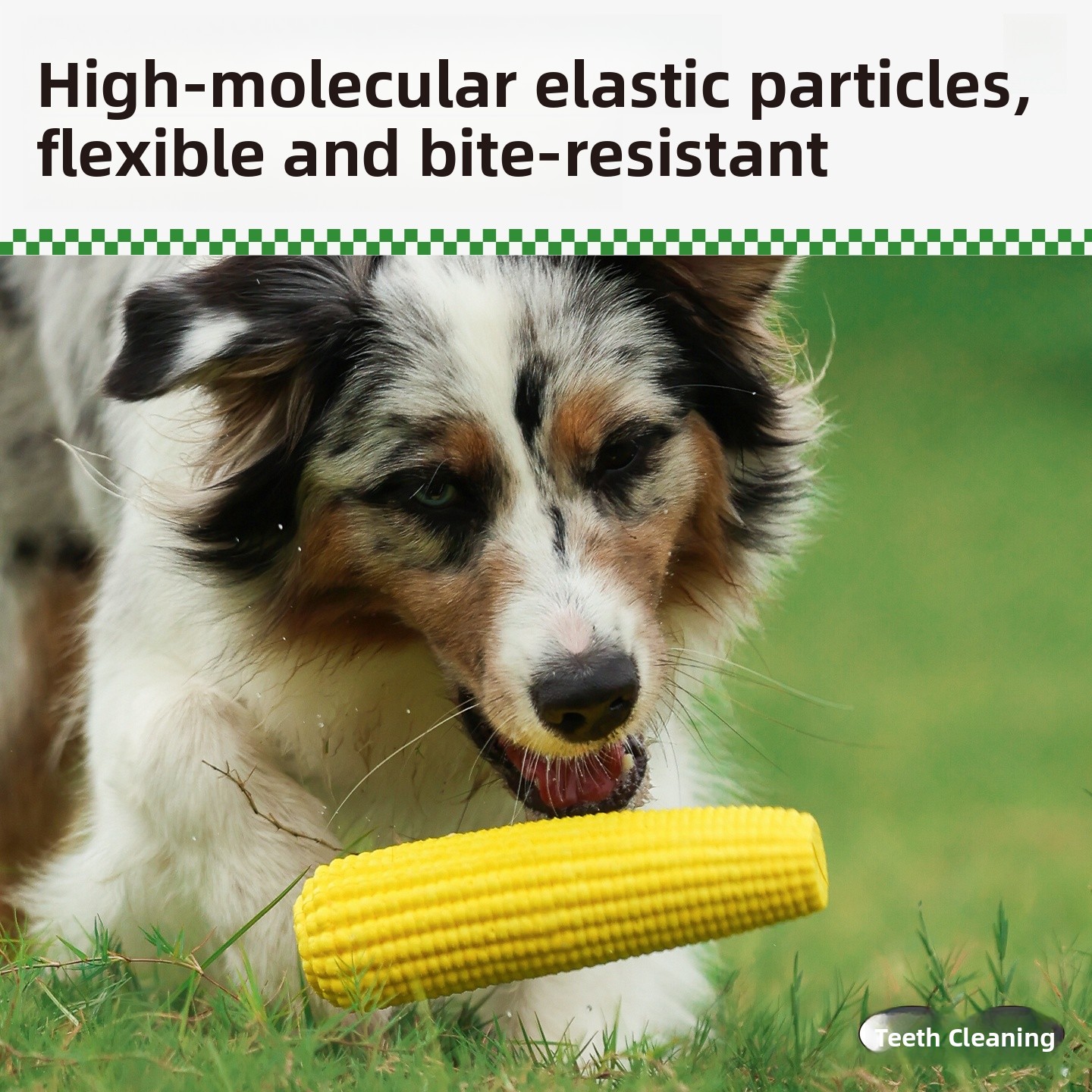 QZee Durable ETPU Corn Dog Toy - Corn Dog Stick review and price