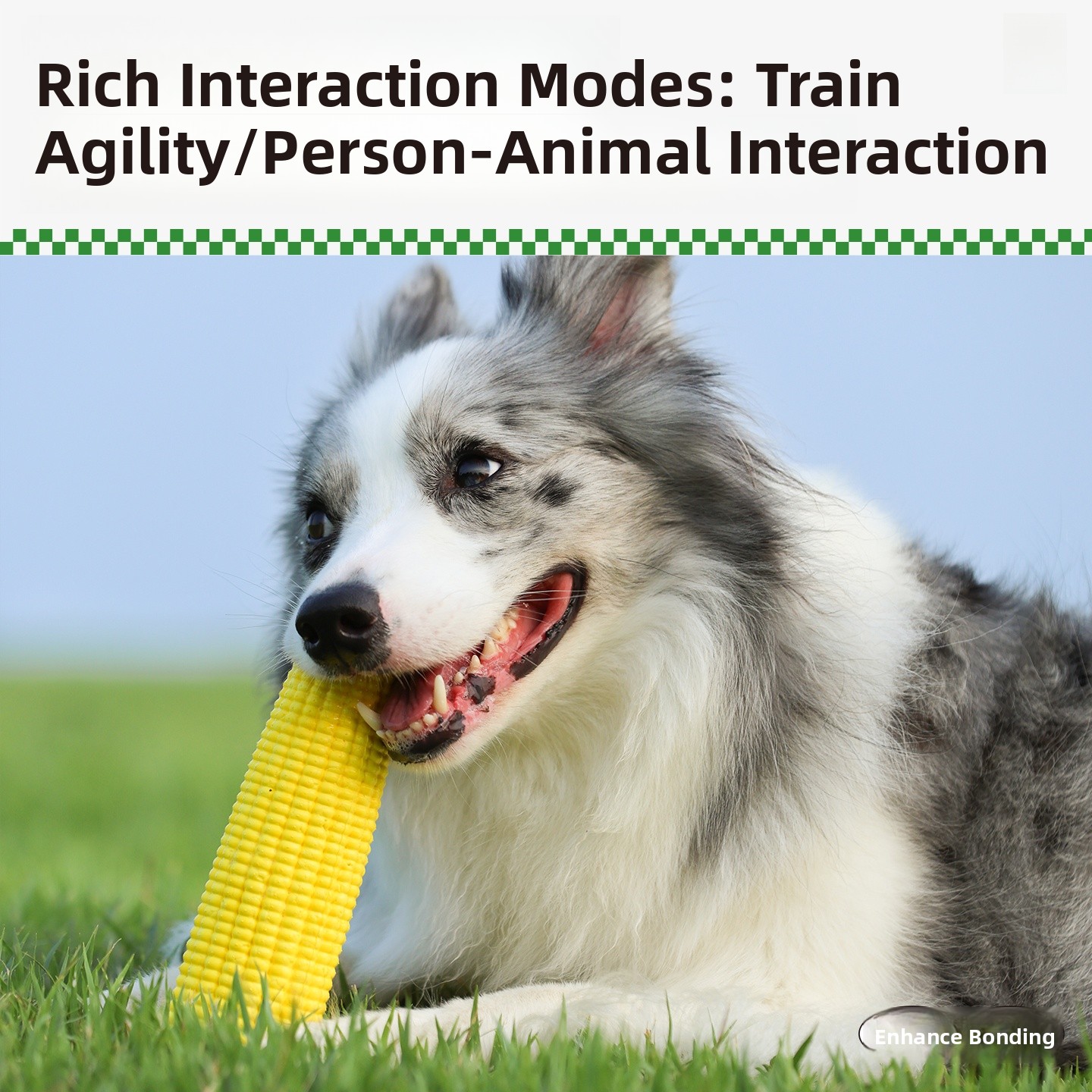 QZee Durable ETPU Corn Dog Toy - Corn Dog Stick review and price