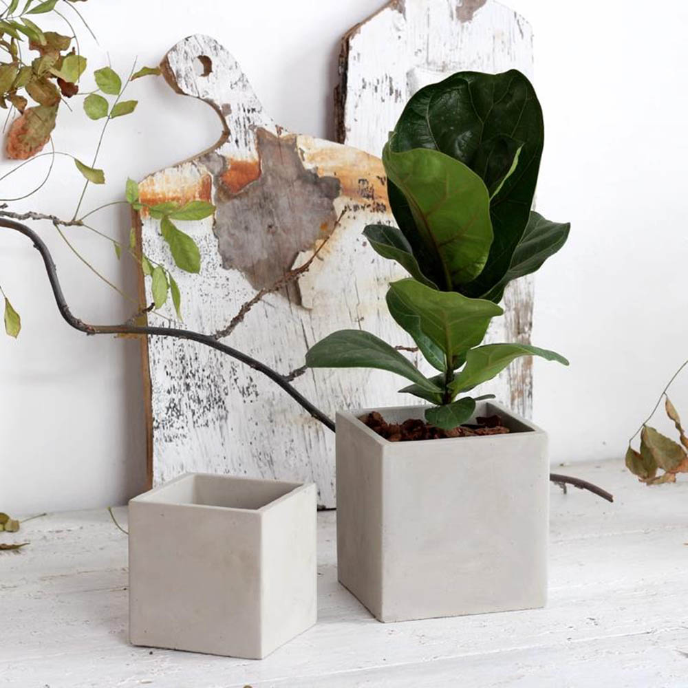 Large Square Flowerpot Silicon - Potsticker Mold review and price