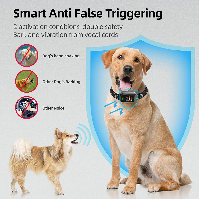 Color Screen Waterproof Dog Ba - Hot Dog Press review and price