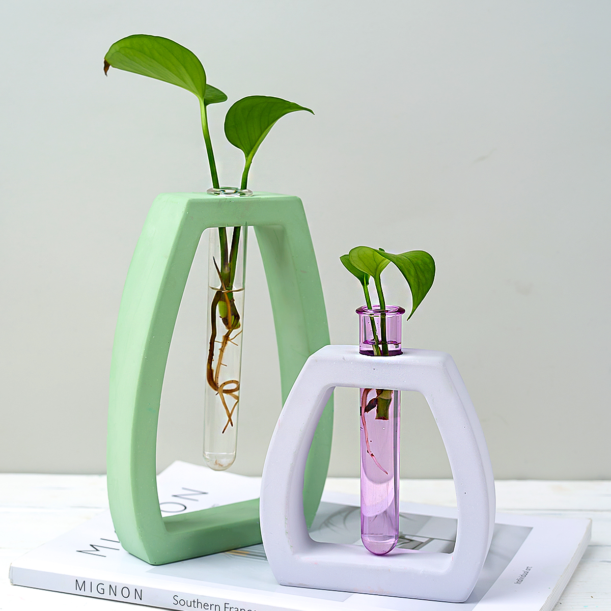 Hydroponic Test Tube Vase Sili - Potsticker Mold review and price