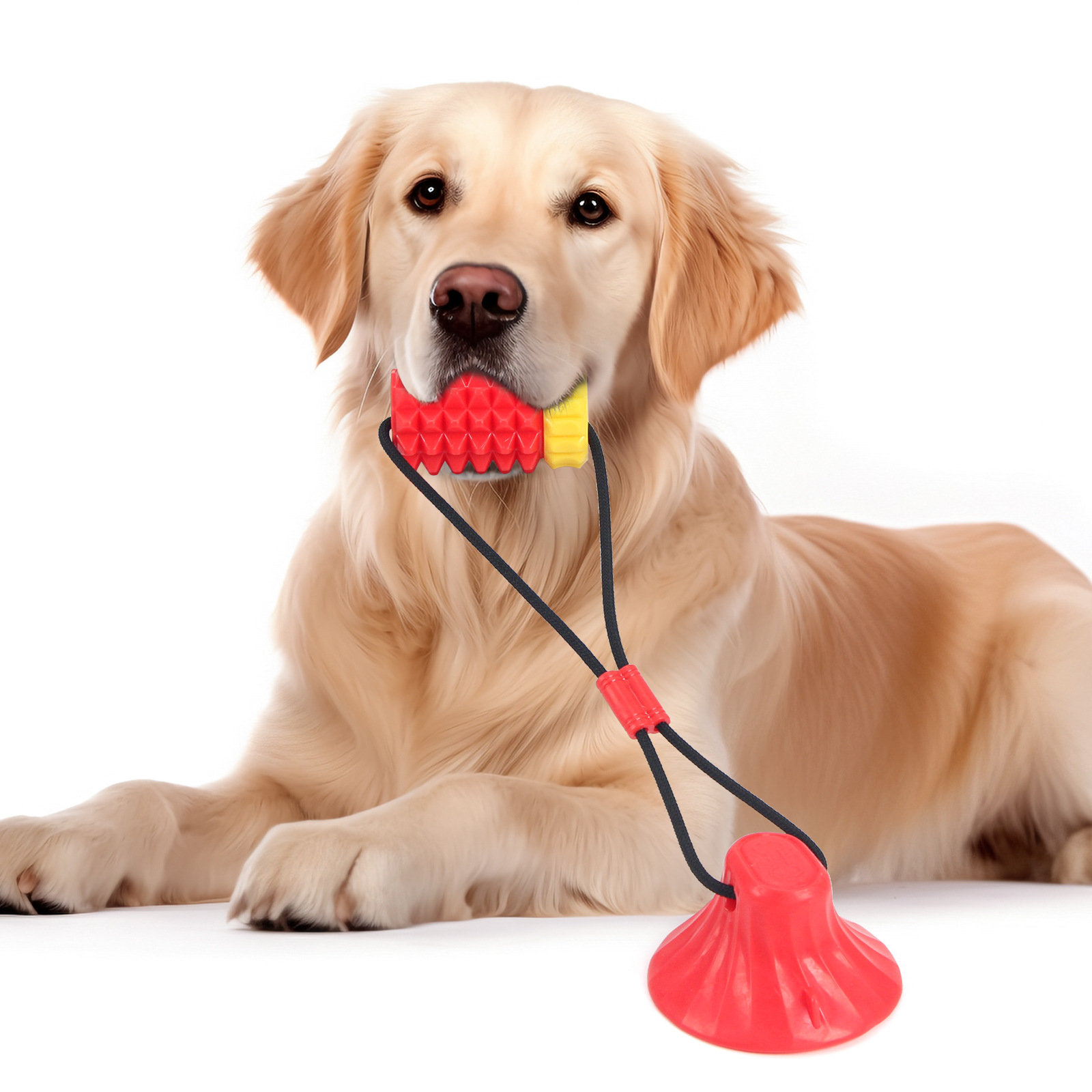 Simulated Corn Cob TPR Dog Toy - Corn Dog Stick review and price