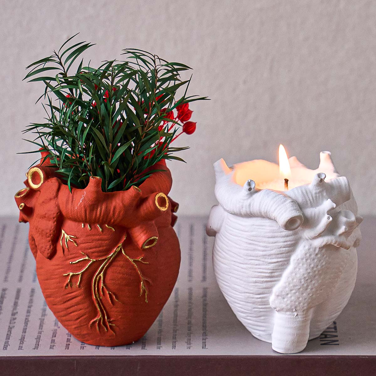 Simulation Heart Vase Silicone - Potsticker Mold review and price